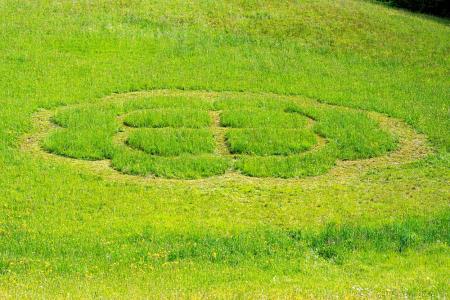 M2 - travniška mandala avtor Bojan Šinko